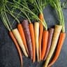 Carrot: Rainbow