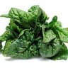 Spinach