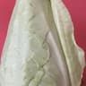 Cabbage: Pointed