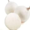 Onion