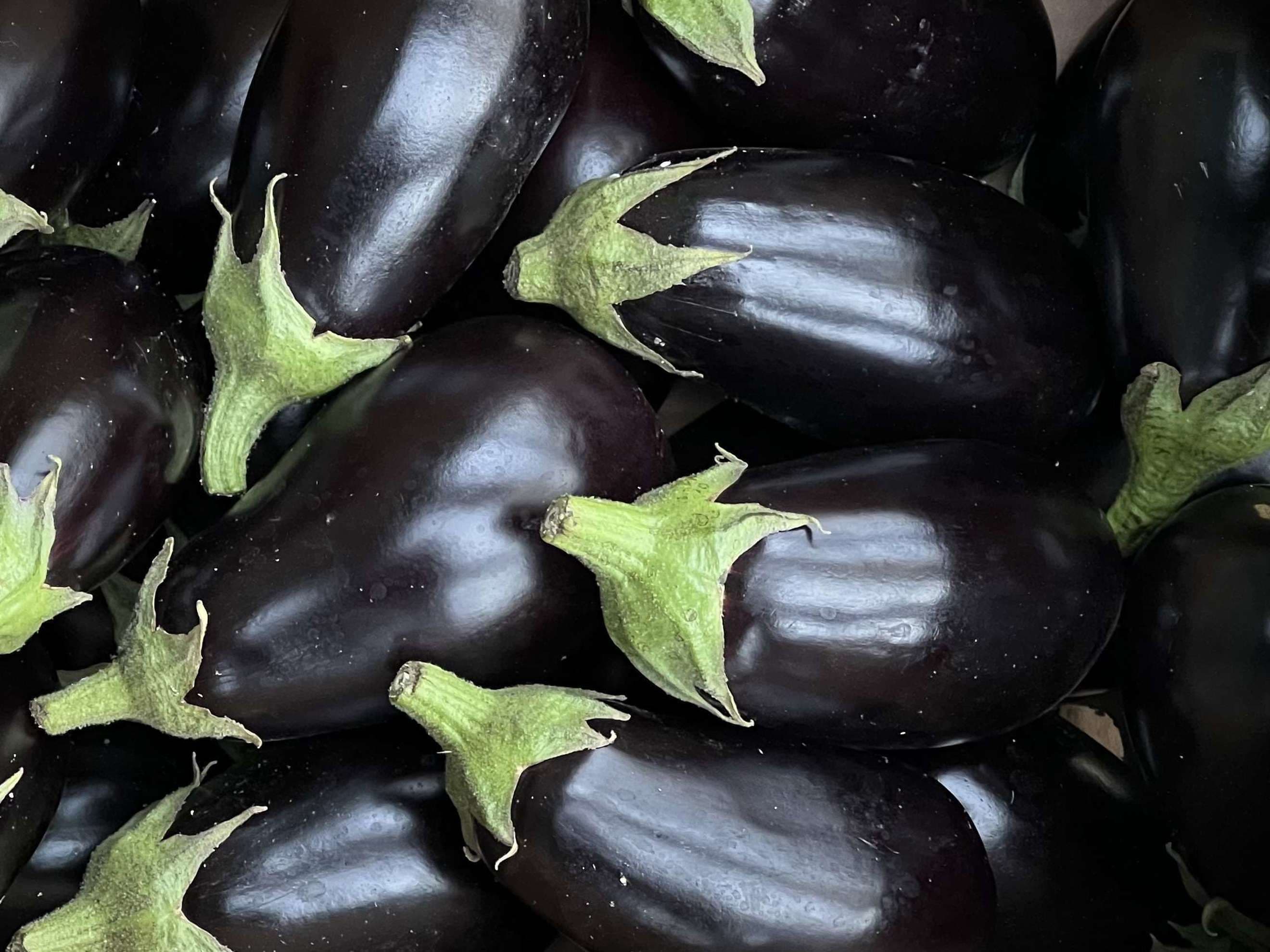 Organic Aubergine (500g)
