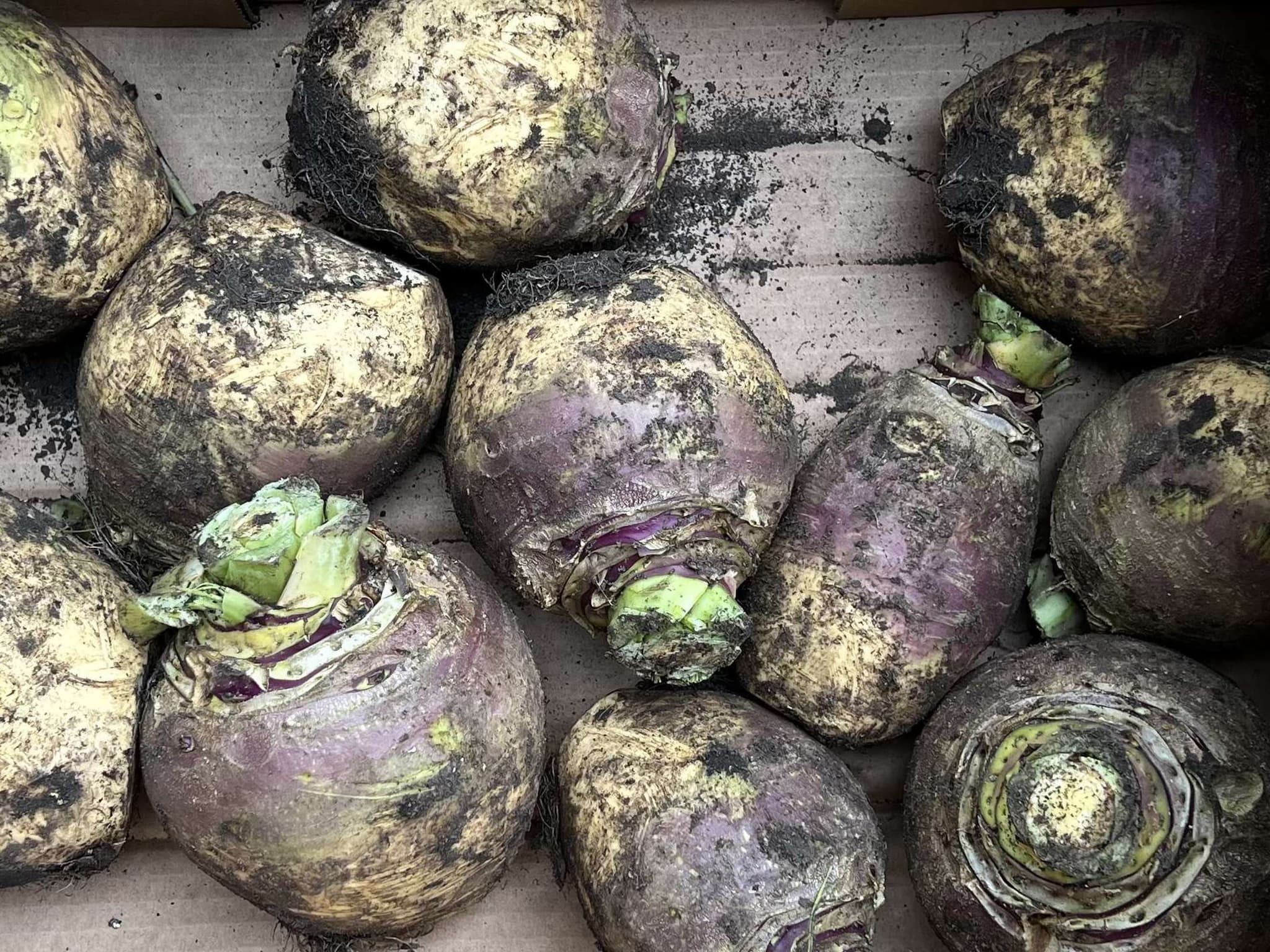 Organic Swede (1kg)