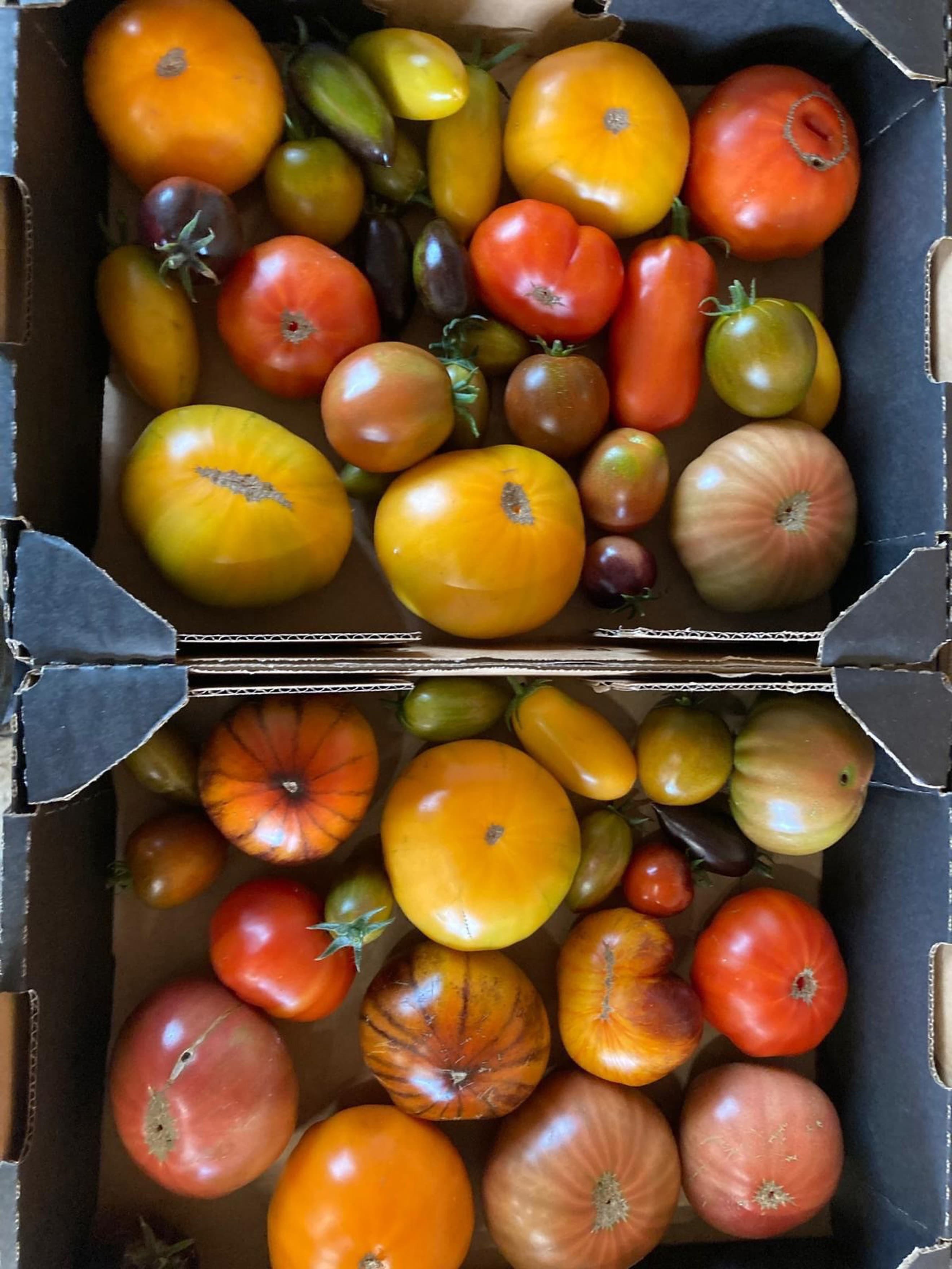 Tomato Heirloom Mixed (500g)
