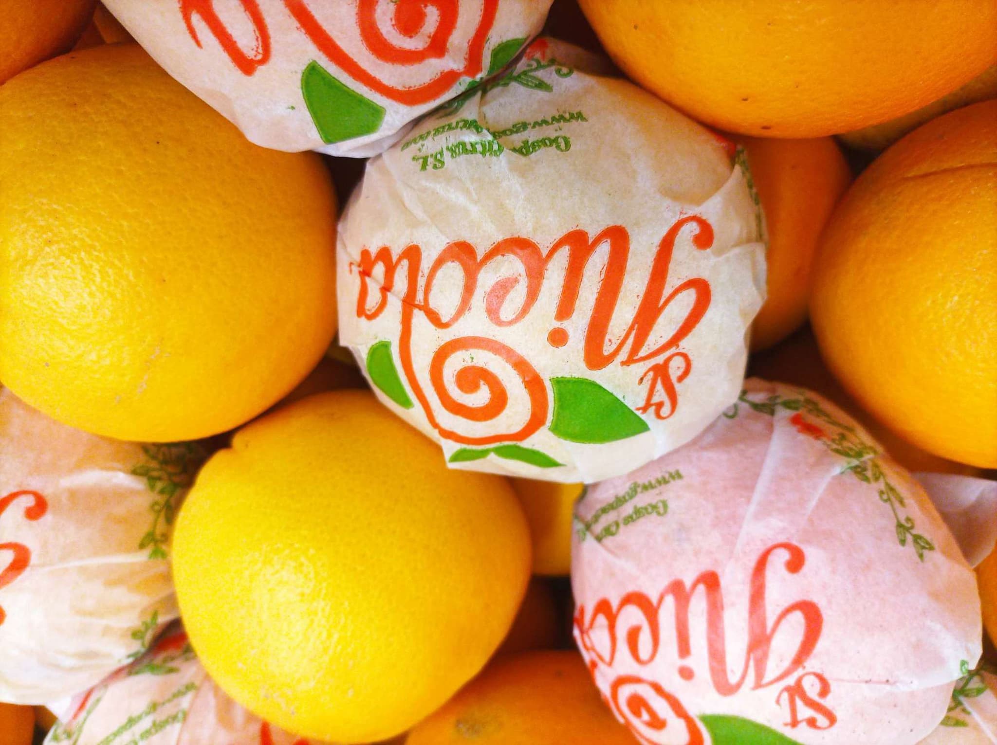 Image of the product