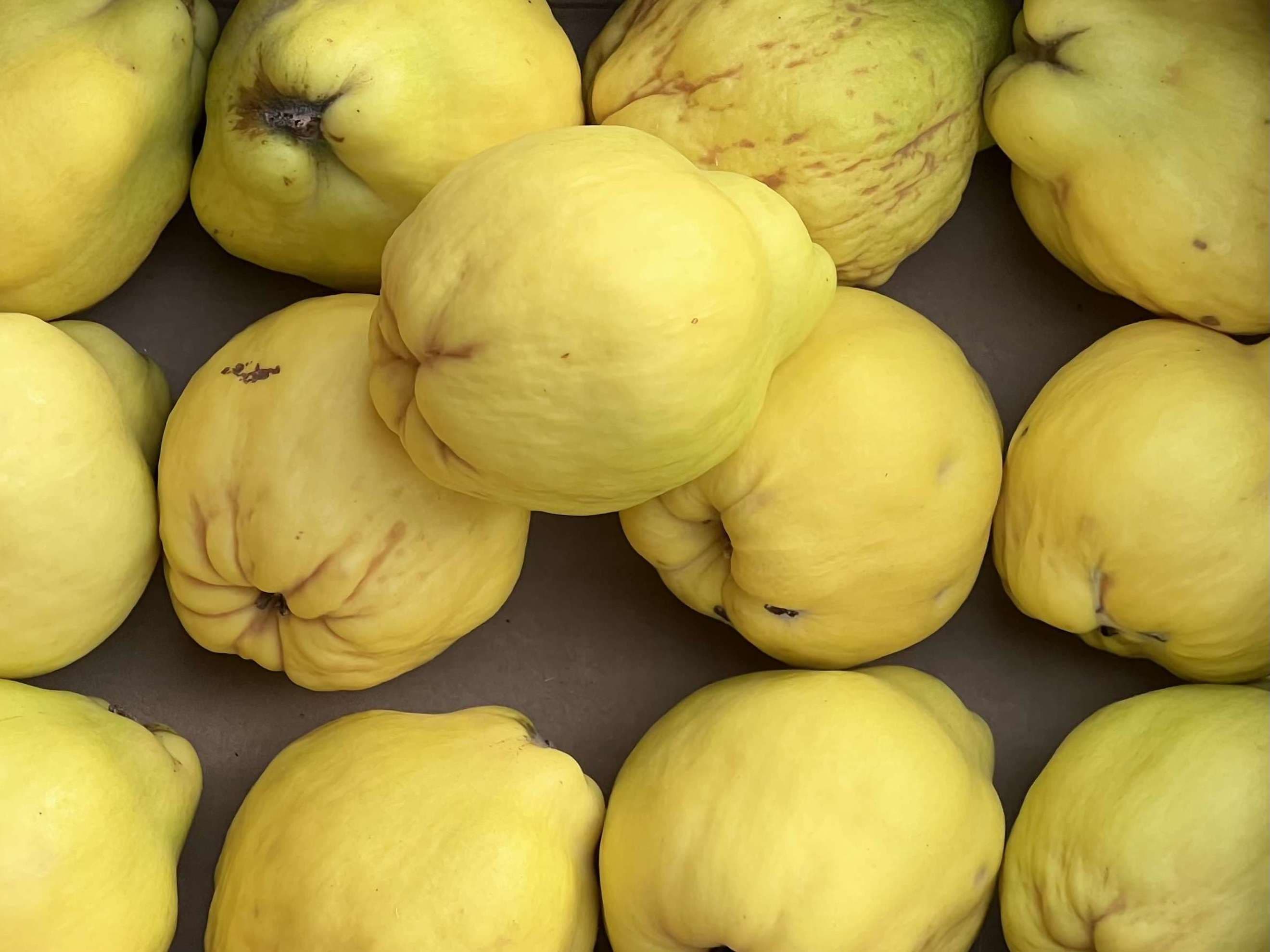 Organic Quince (1kg)