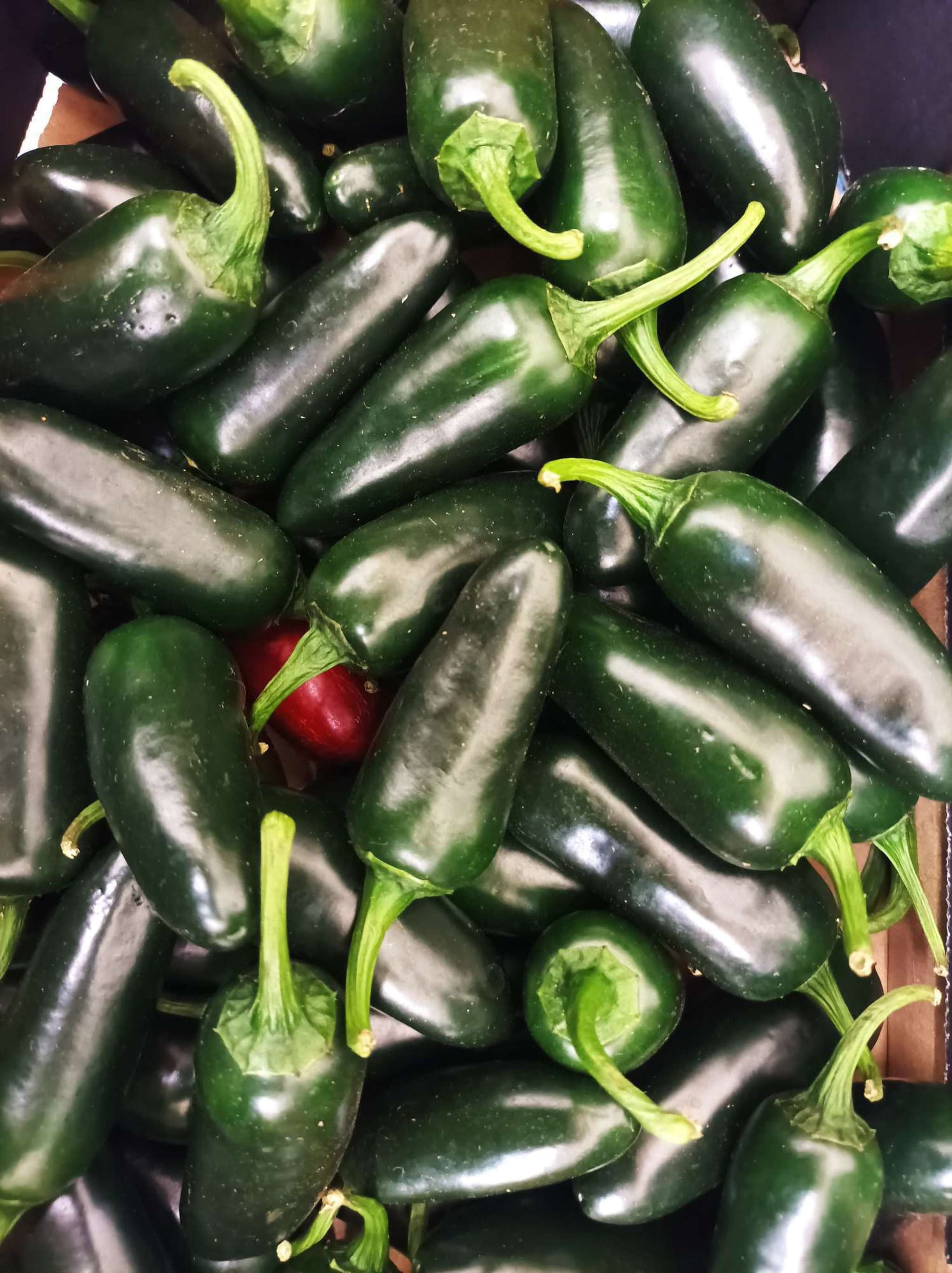 Organic Chillies Jalapeno (100g)