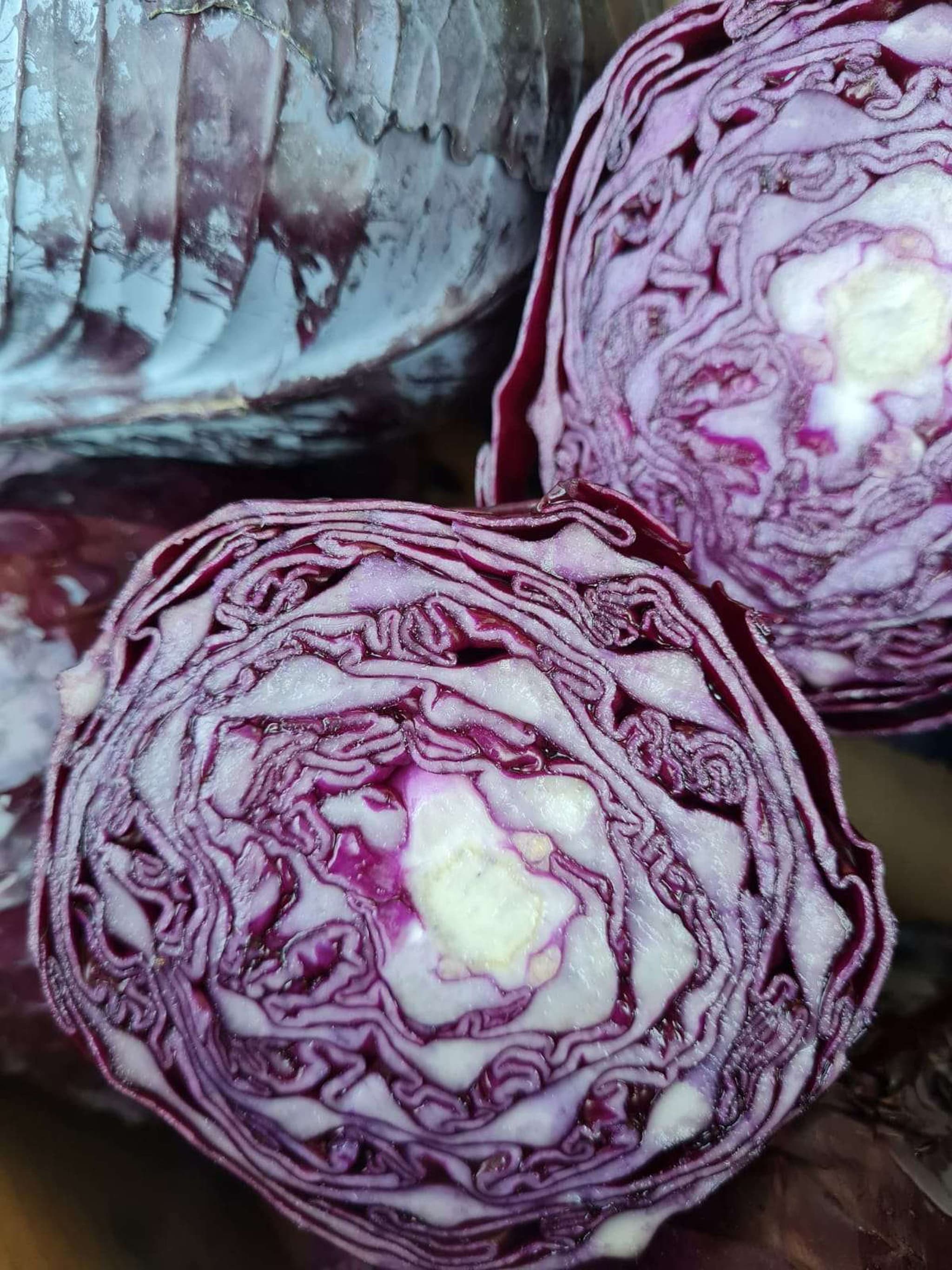 Organic Cabbage Red (1kg)