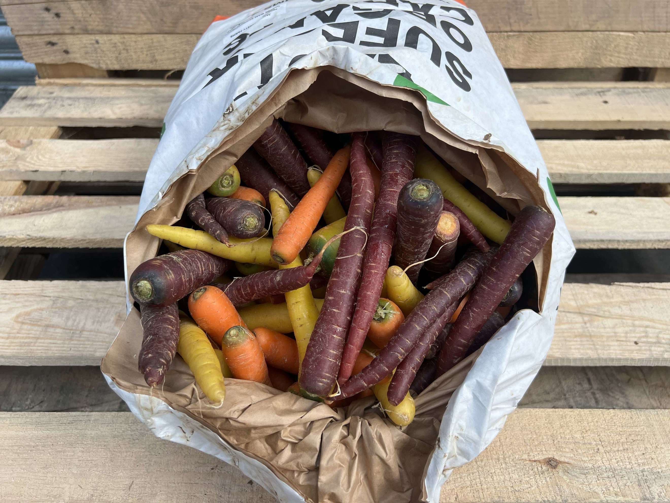 Organic Carrots Rainbow (1kg)