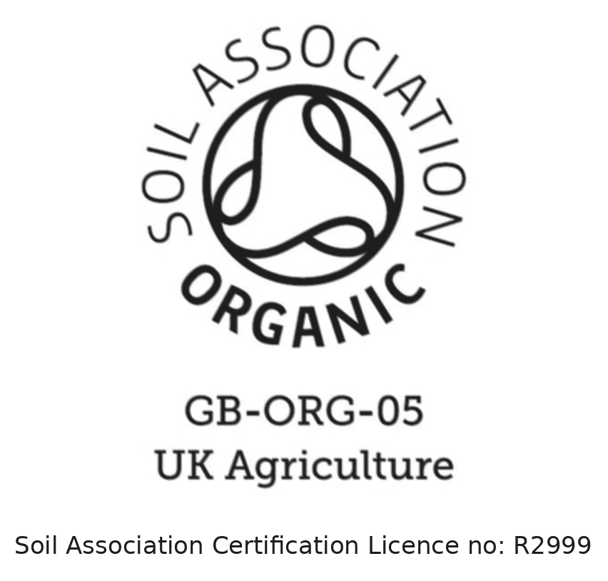 SA logo