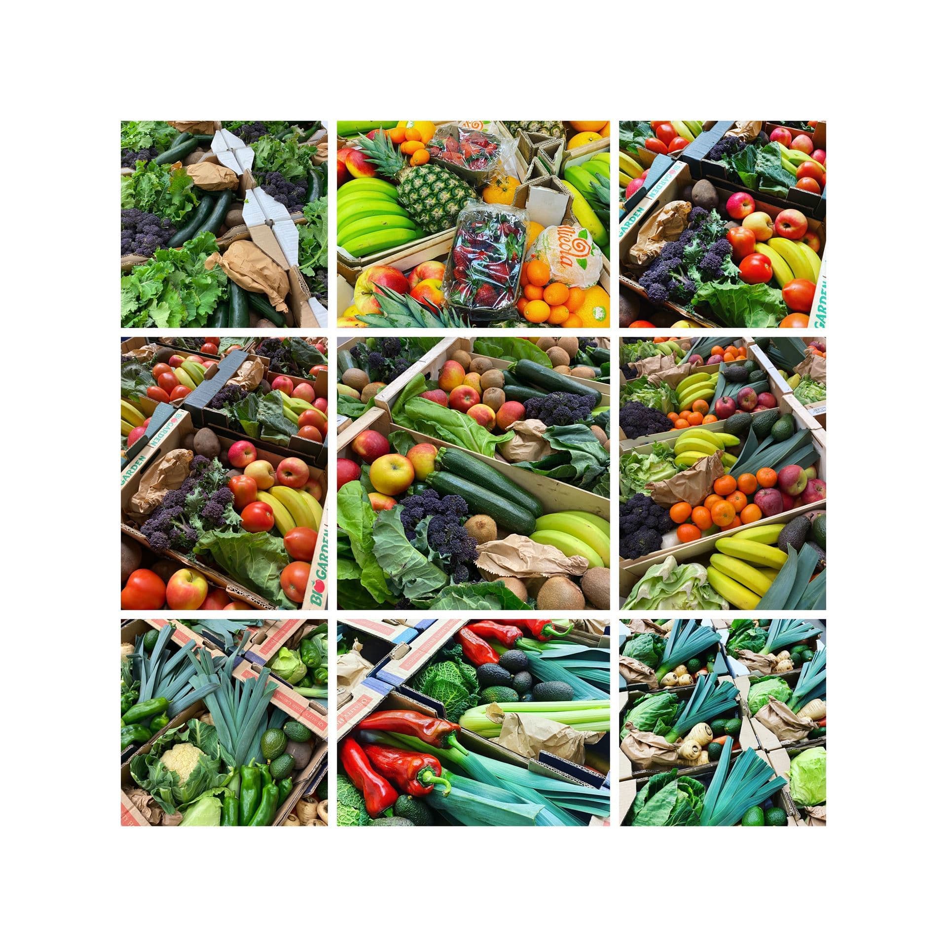 Foodlife Organic