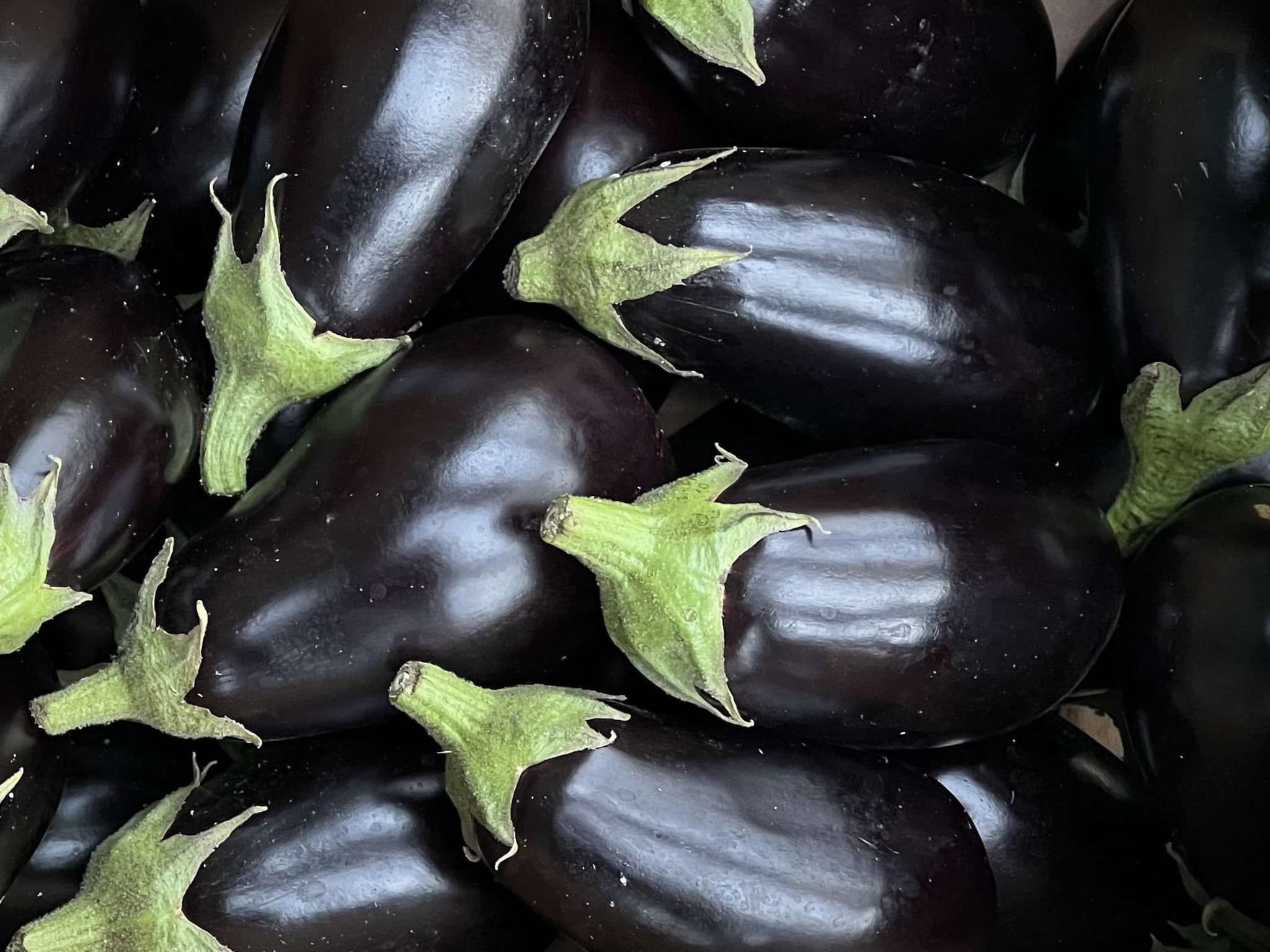 Organic Aubergine (500g)