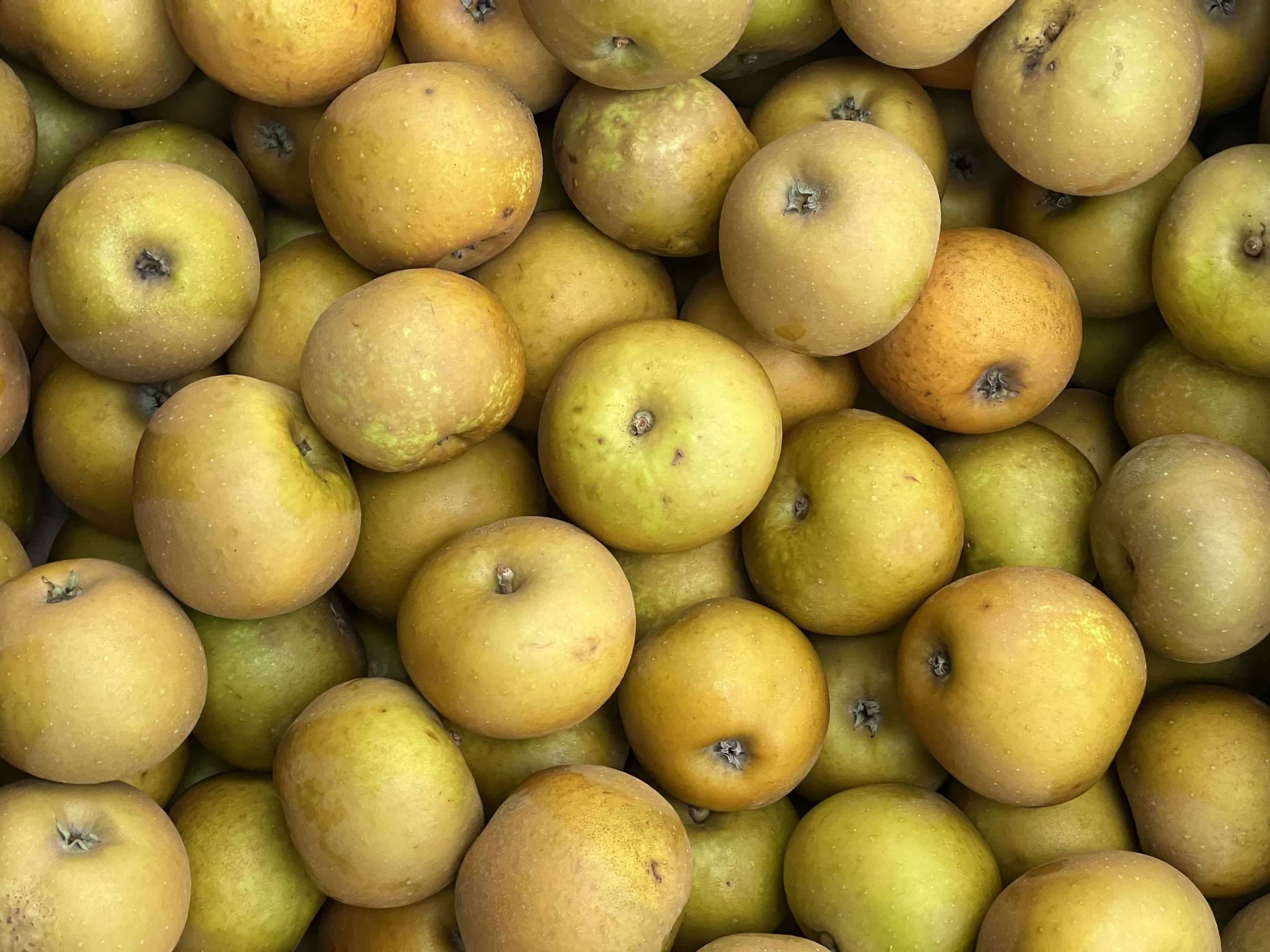 Organic Apples Russet (1kg)