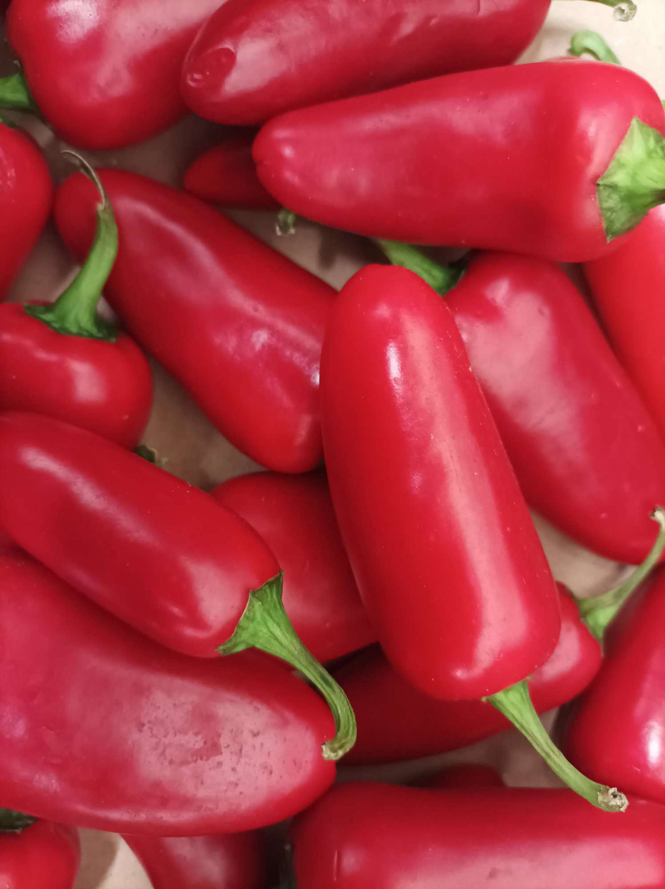 Organic Chillies Red (100g)