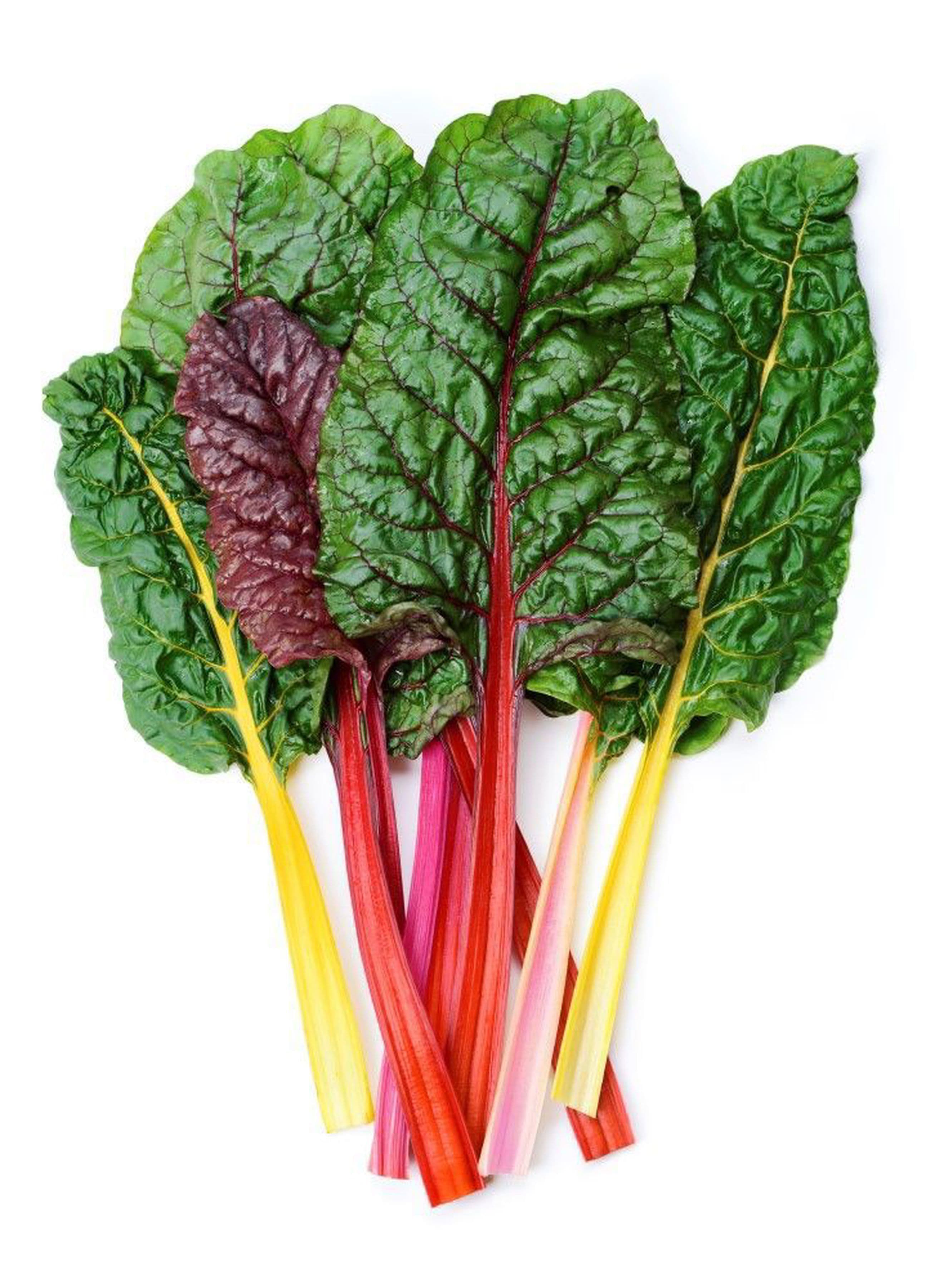 Organic Rainbow Chard