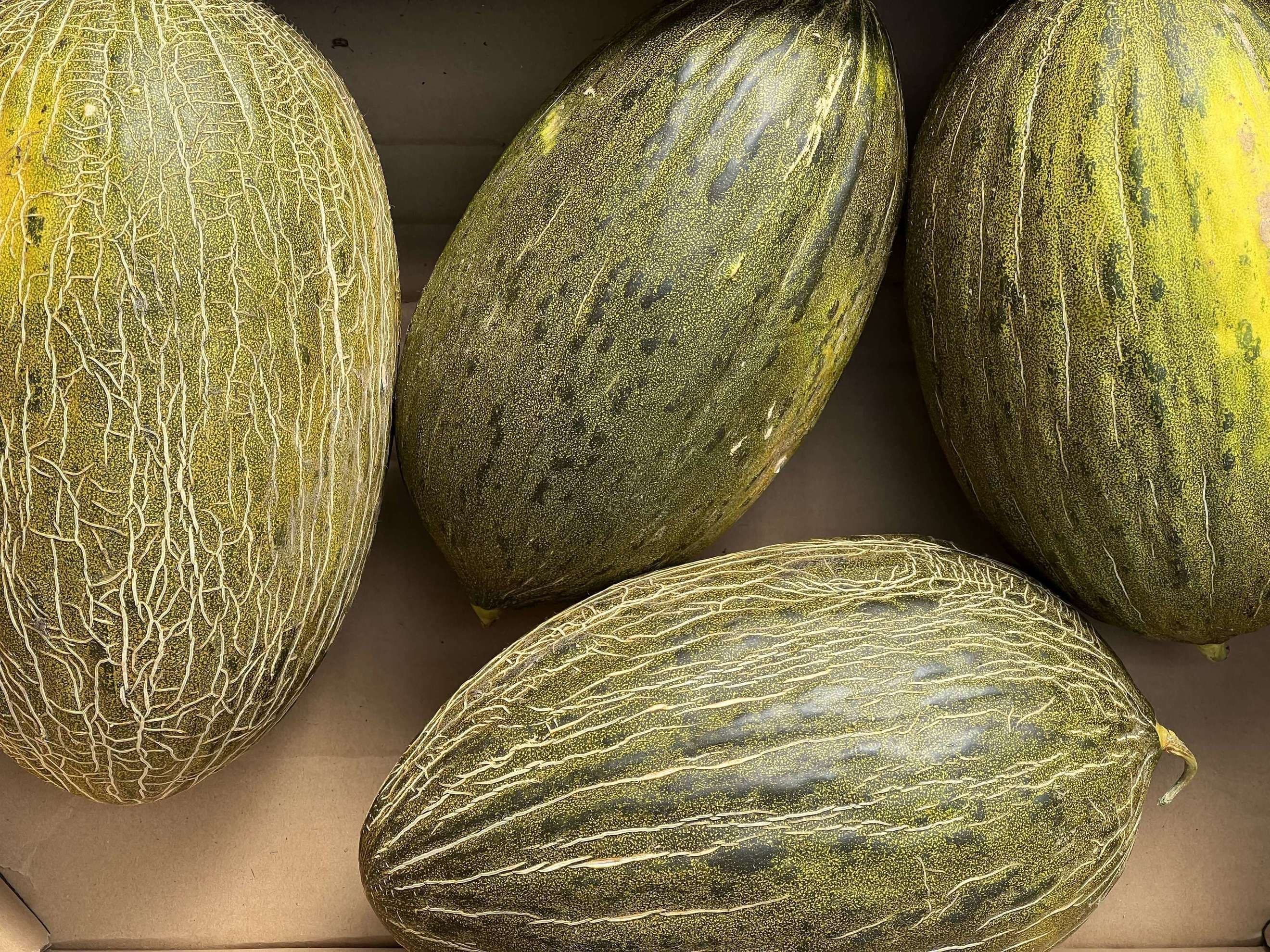 Melon Piel de Sapo (1kg)