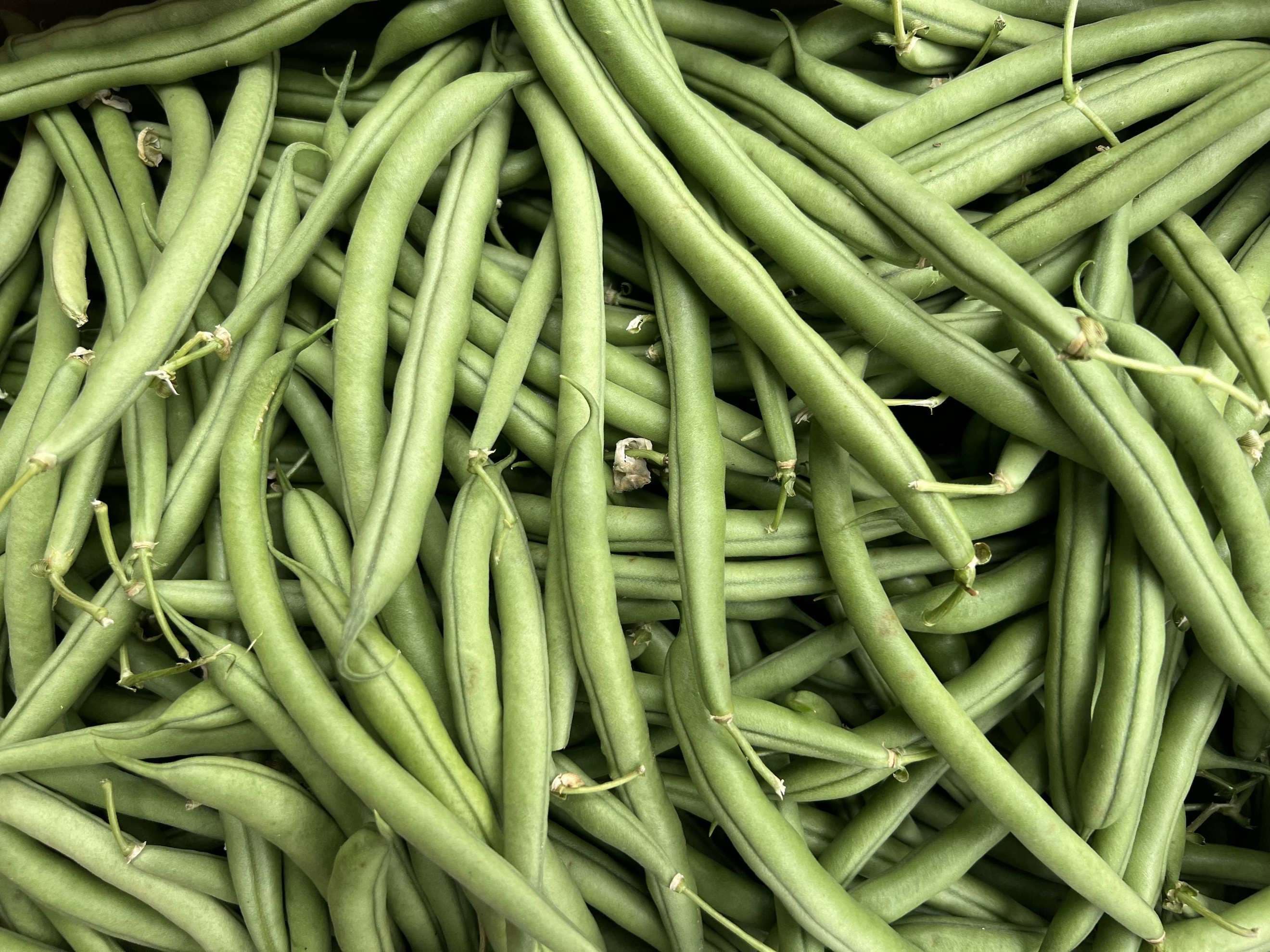 Organic French Beans (250g)