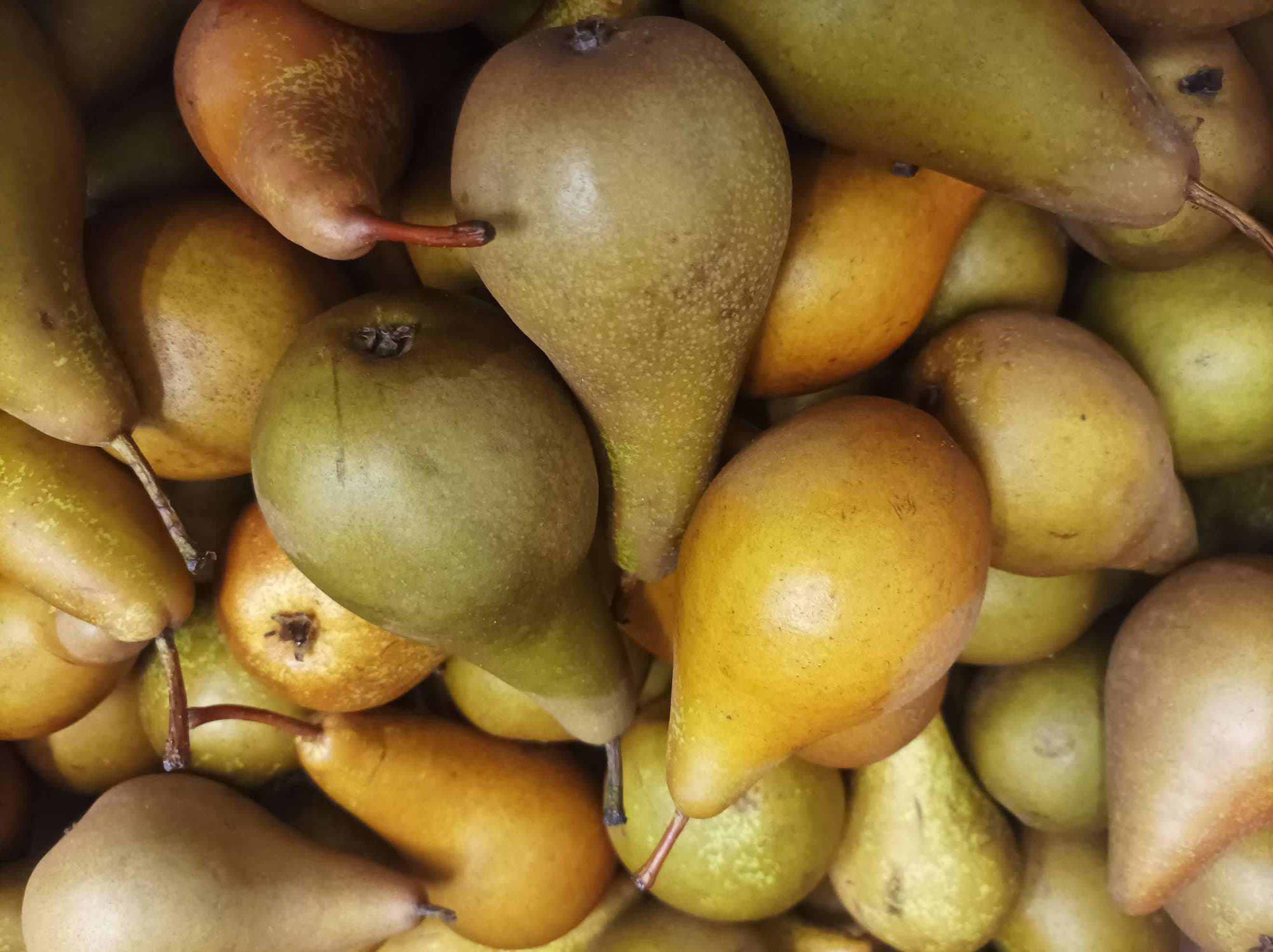 Organic Pears (700g)