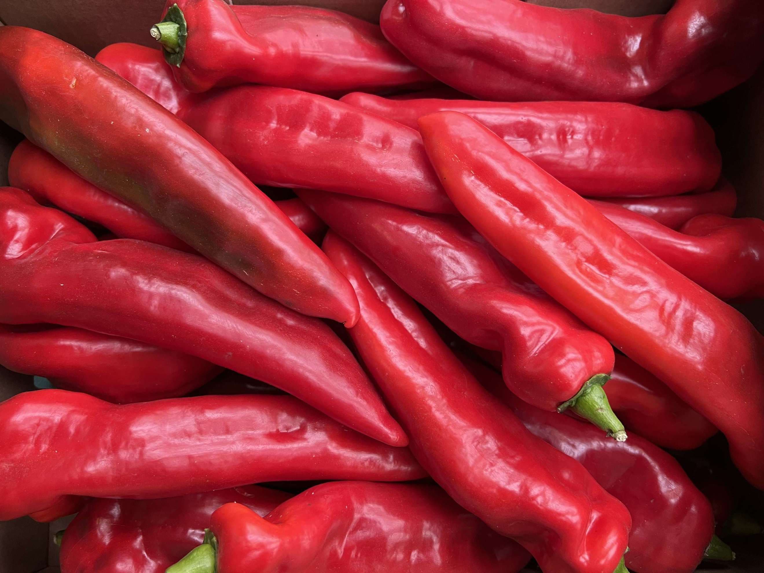 Organic Red Palermo Pepper (400g)