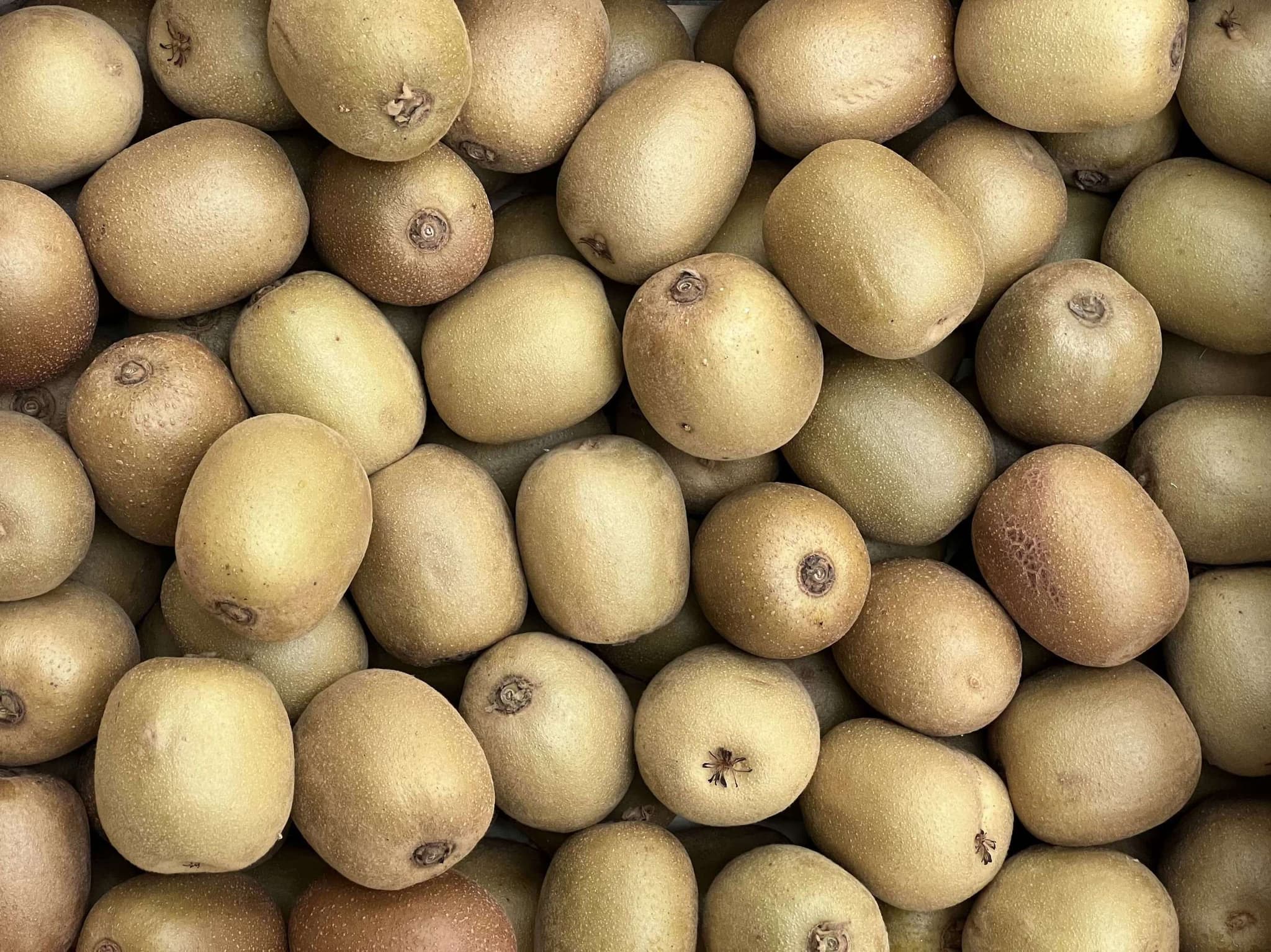 Organic Kiwi Gold(600g)