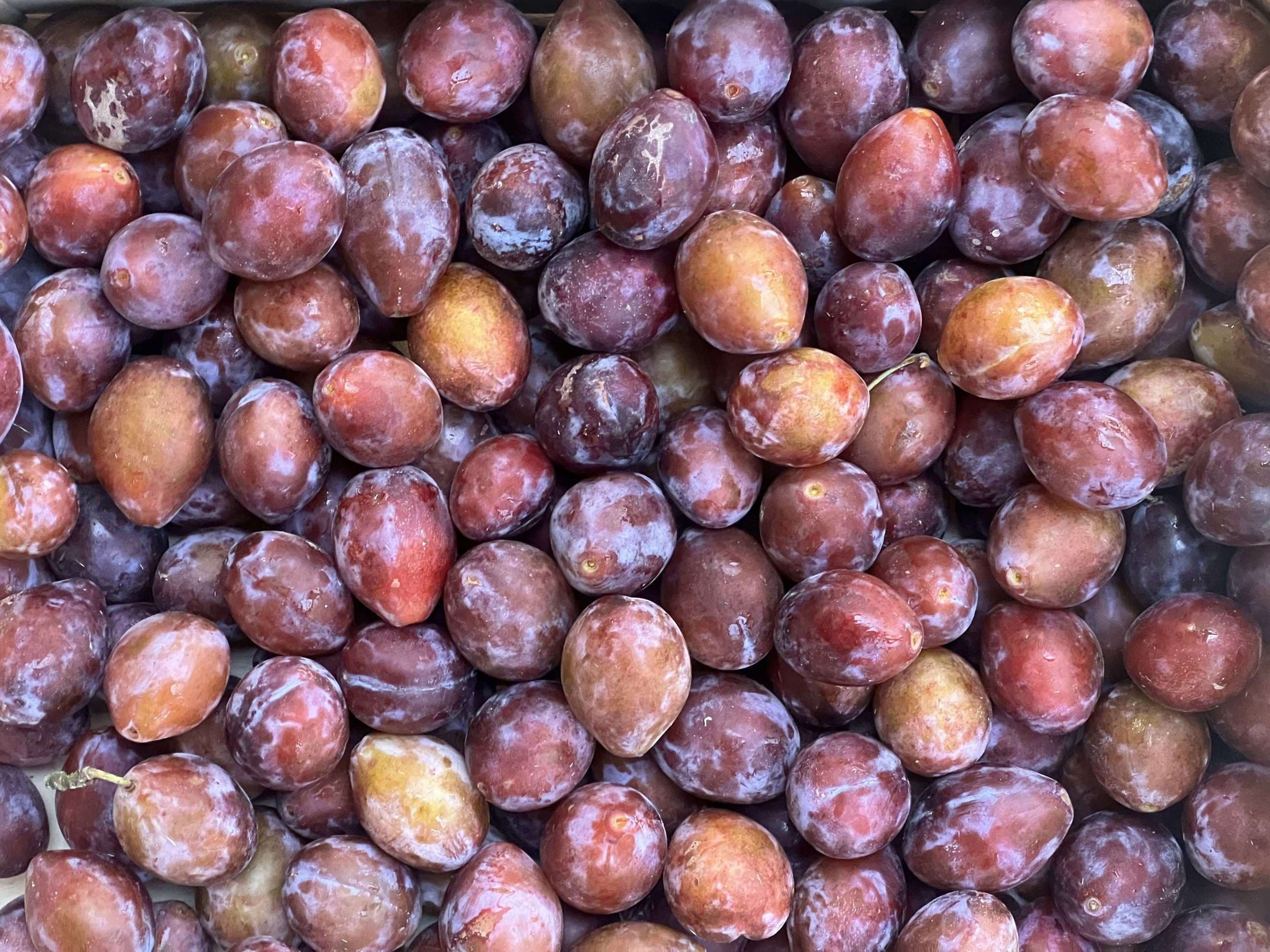 Organic Plums (500g)