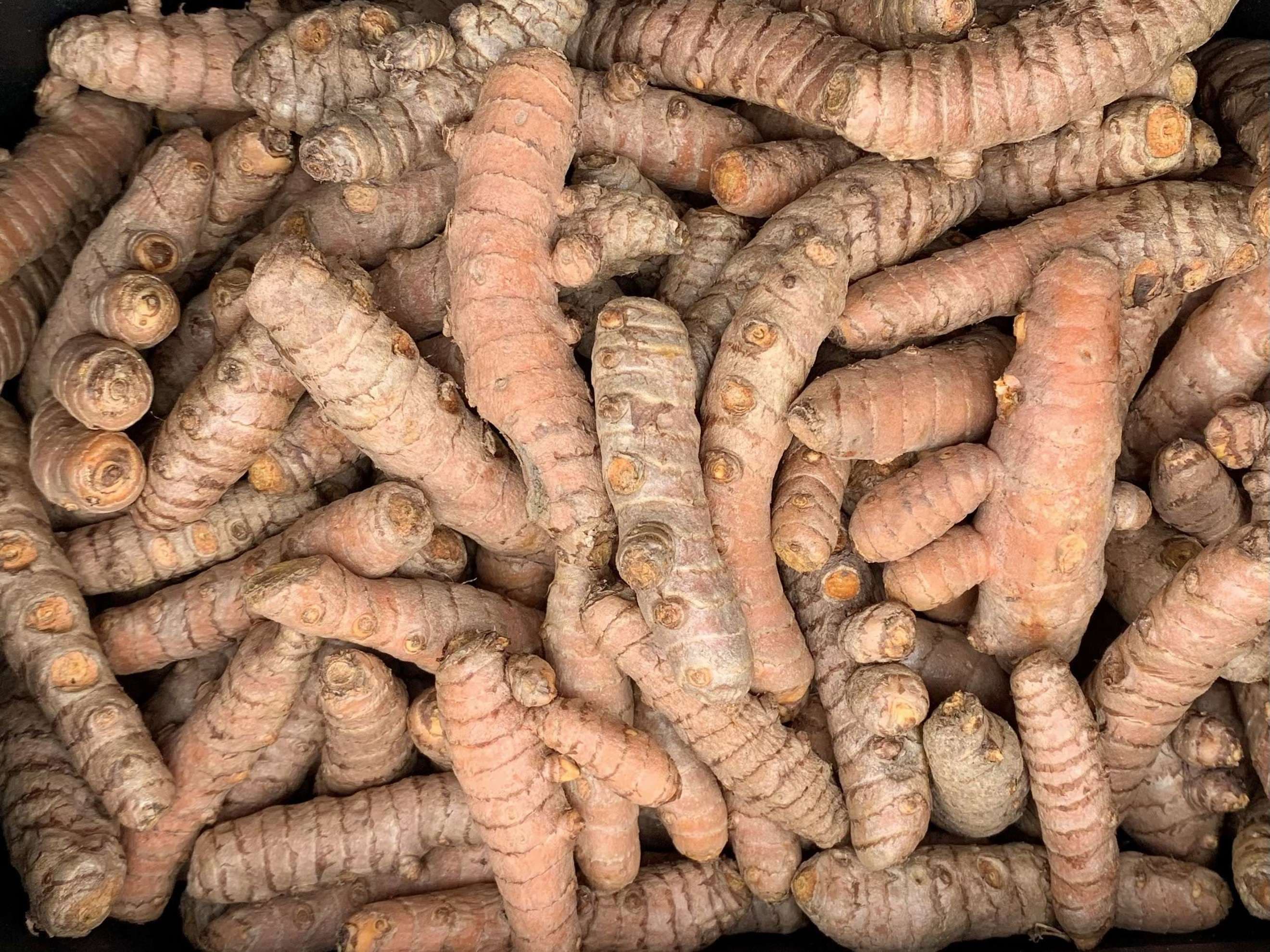 Organic Turmeric (150g)