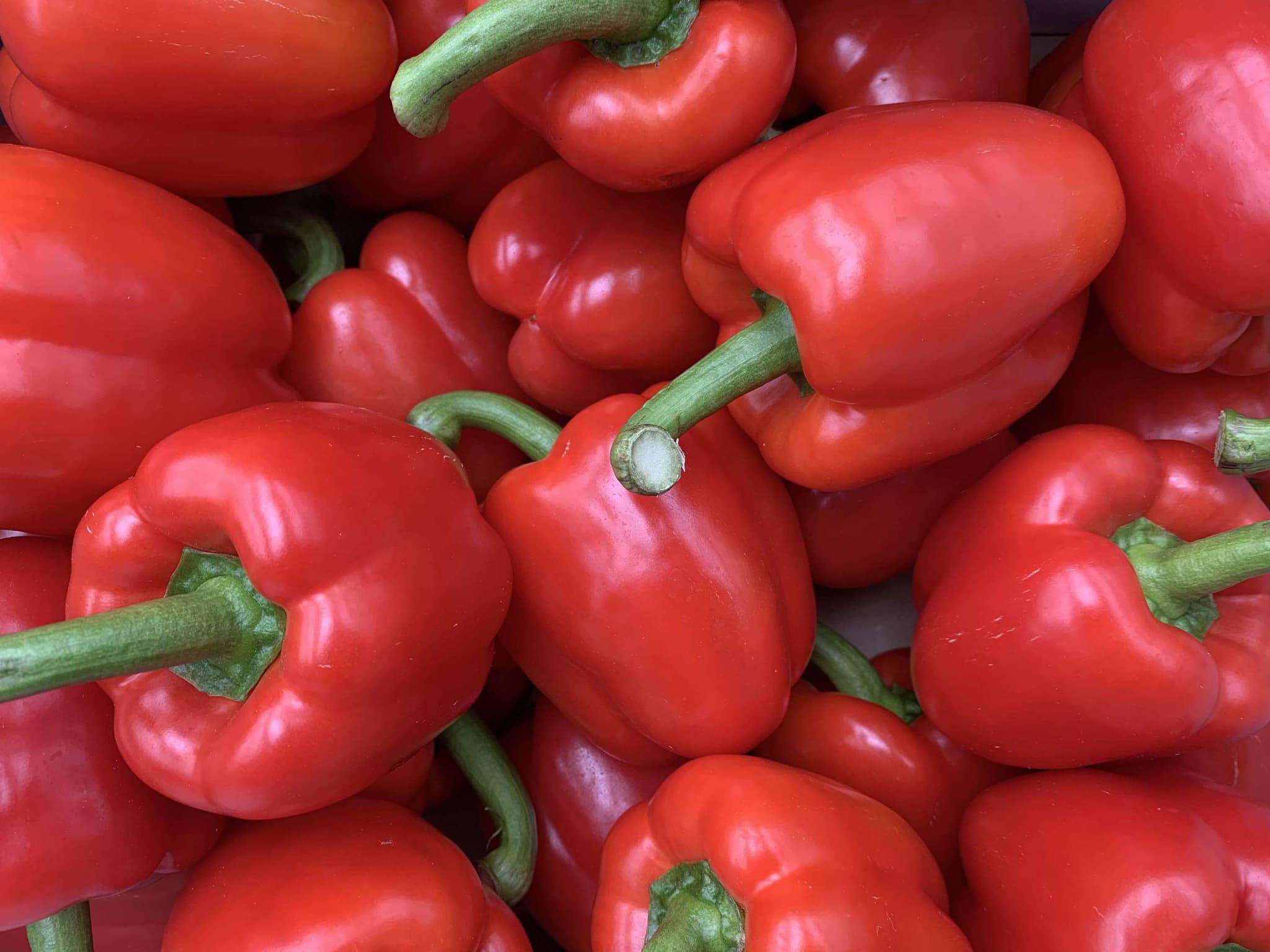 Organic Red Pepper (500g)