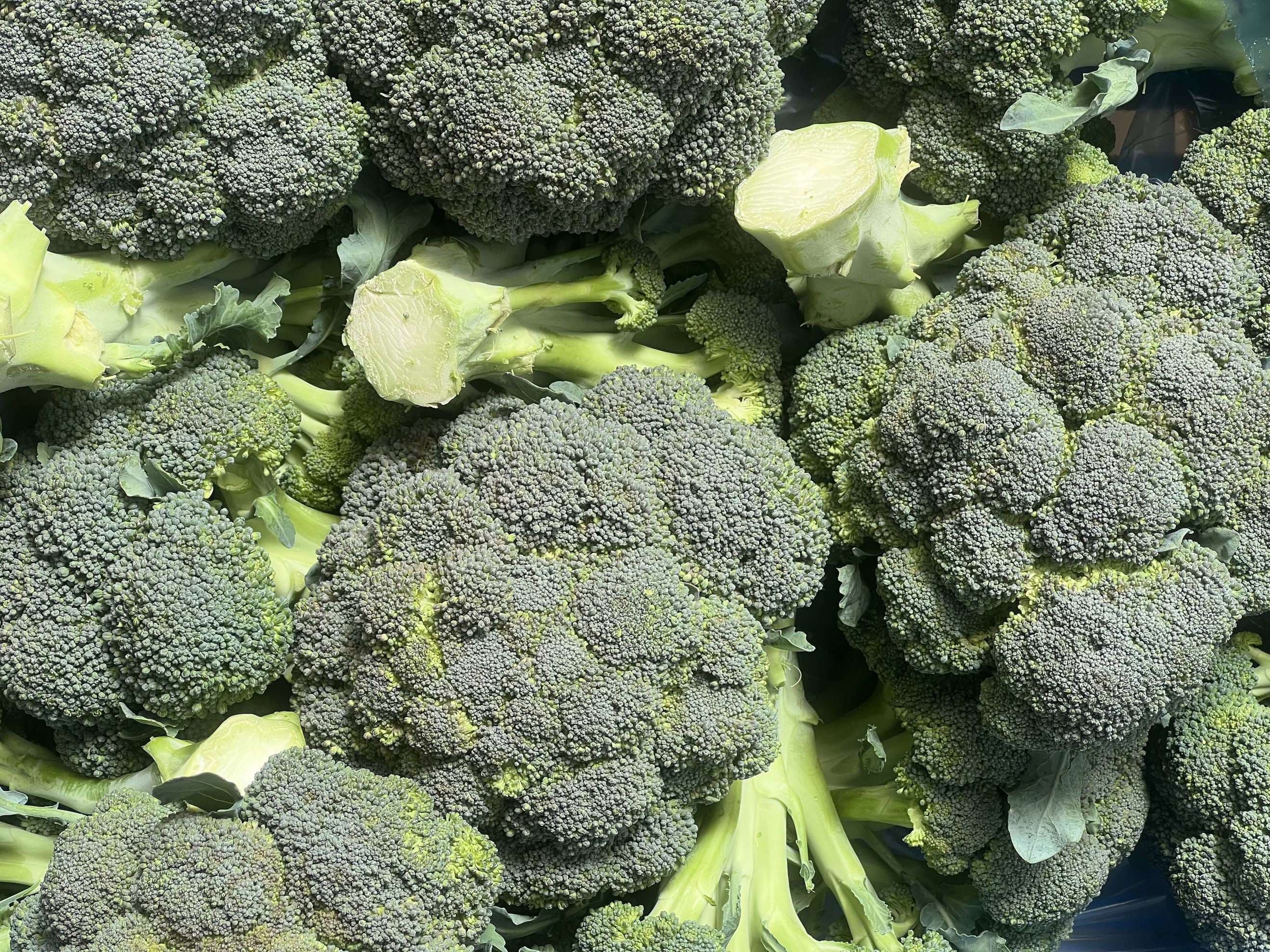 Organic Broccoli (600g)